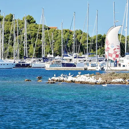 Beautiful In - Csv366 *