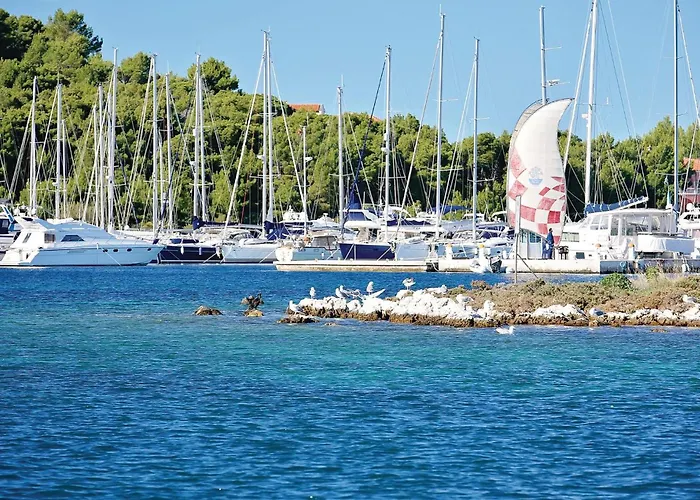 Beautiful In - Csv366 *